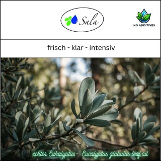 Sala Eukalyptusöl Globulus ätherisches Öl naturrein 1 L 1000 ml Glasflasche