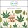 Sala Cannabis Sativa Seed Oil cold pressed virgin organic 1 L 1000 ml glass bottle