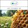 Sala Honey perfume oil 100 ml PET bottle