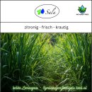 Sala Lemongrass aroma essential oil 100% pure 500 ml glass bottle