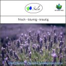 Sala Hybrid Lavender Grosso aroma essential oil 100% pure 100 ml PET bottle