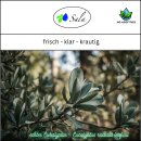 Sala Eucalyptus Radiata aroma essential oil 100% pure 30 ml