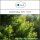 Sala Thuja essential oil 100% pure 100 ml glass bottle