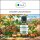 Sala Arganöl kaltgepresst ungeröstet BIO kbA 250 ml PET Flasche