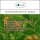 Sala jojoba oil cold pressed organic 50 ml