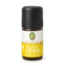 Primavera Easy Learning fragrance mix pure 5 ml