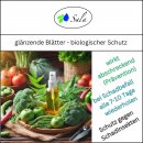 Sala BIO-Neemöl kaltgepresst mit Salamul (ersetzt Rimulgan) Emulgator 2,5 L 2500 ml Kanister