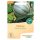 Bingenheimer Seeds Melon Petit Gris de Rennes demeter organic for approx 12 plants