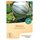 Bingenheimer Saatgut Melone Petit Gris de Rennes demeter bio für ca. 12 Pflanzen
