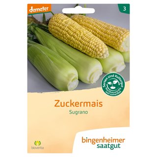 Bingenheimer Saatgut Zuckermais Sugrano demeter bio für ca. 40 Pflanzen