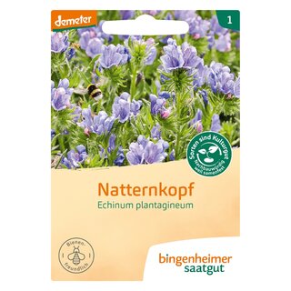 Bingenheimer Saatgut Natternkopf Echinum plantagineum demeter bio für ca. 80 Pflanzen