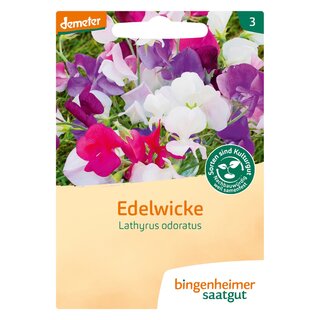 Bingenheimer Saatgut Edelwicke Lathyrus odoratus demeter bio für ca. 20 Pflanzen