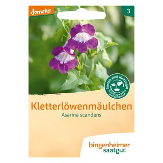Bingenheimer Saatgut Kletterlöwenmäulchen Asarina scandens demeter bio für ca. 150 Pflanzen