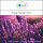 Sala Lavender essential oil 38/40 100% pure 50 ml