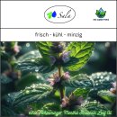 Sala Pfefferminzöl mentha arvensis ätherisches Öl naturrein 1 L 1000 ml Glasflasche
