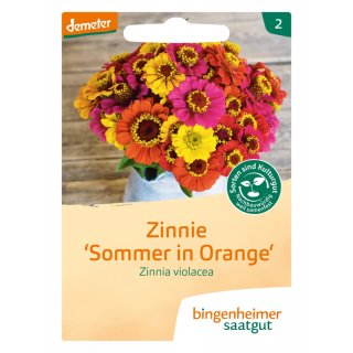 Bingenheimer Seeds Zinnia Summer in Orange Zinnia violacea demeter organic for approx 50 plants