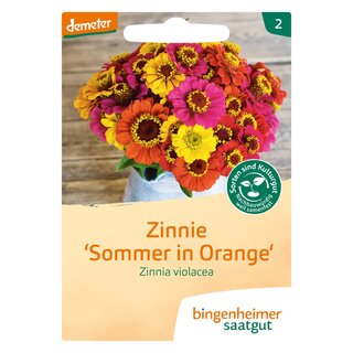 Bingenheimer Saatgut Zinnie Sommer in Orange Zinnia violacea demeter bio für ca. 50 Pflanzen