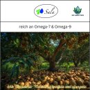 Sala Macadamia Nut Oil cold pressed organic 500 ml glass bottle