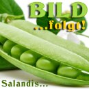 Sala Sojaöl raffiniert BIO 2,5 L Kanister