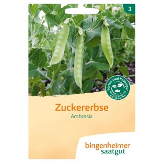Bingenheimer Seeds Sugar Pea Ambrosia organic for approx 100 plants