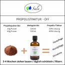 Sala Propolis Pulver Extrakt BIO 250 g Beutel