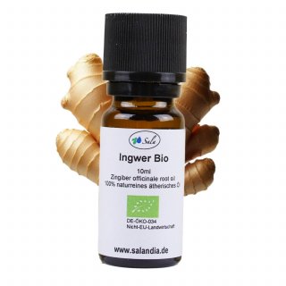 Sala Ingweröl Aroma ätherisches Öl naturrein BIO 10 ml