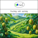 Sala Kiwi Duftöl Parfümöl Aromaöl 100 ml PET Flasche