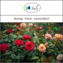 Sala Rosenwasser BIO 100 ml Glasflasche Spühaufsatz