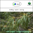 Sala Eukalyptusöl Citriodiora Aroma Zitroneneukalyptus ätherisches Öl naturrein 100 ml Glasflasche