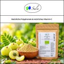 Sala Amla Pulver BIO 100 g Beutel