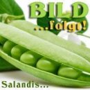 Bluegreen Kids Plus Algen Nahrungsergänzung 240...