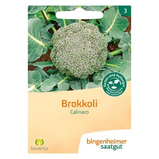 Bingenheimer Saatgut Brokkoli Calinaro bio für ca. 30 Pflanzen