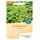 Bingenheimer Seeds Oak Leaf Salad Cerbiatta demeter organic for approx 120 plants