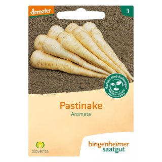 Bingenheimer Saatgut Pastinake Aromata demeter bio für 7-10 m² über Bestand hinaus Liefertermin unbekannt