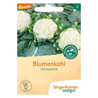 Bingenheimer Saatgut Blumenkohl Neckarperle demeter bio für ca. 40 Pflanzen